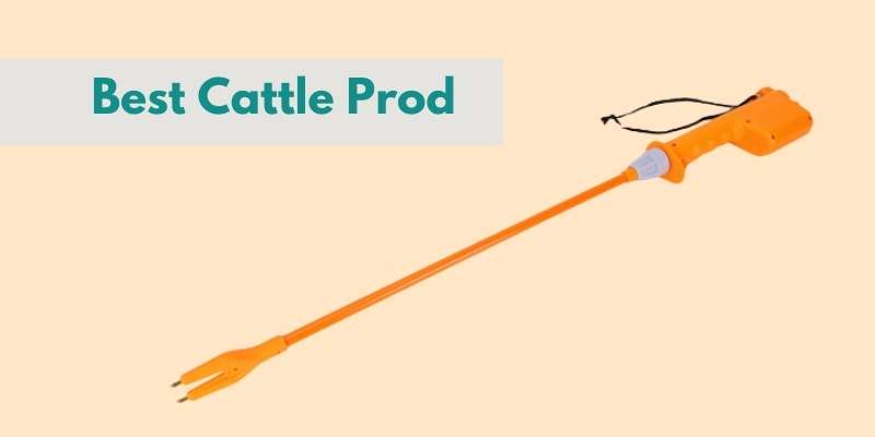 Best Cattle Prod