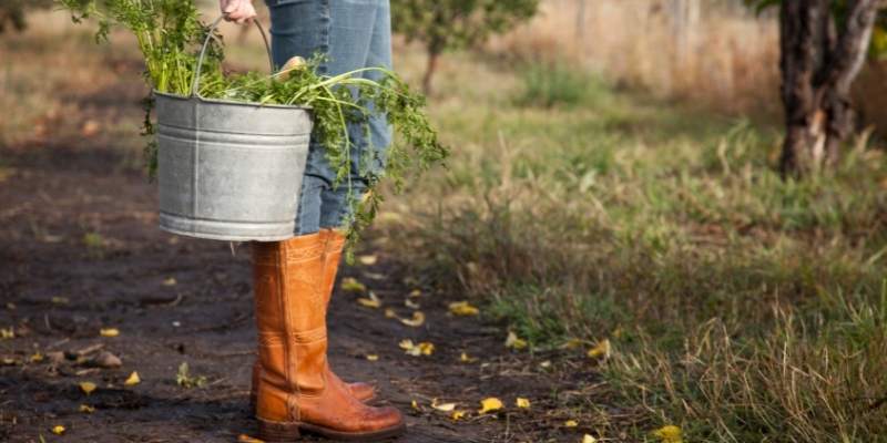 Best Farm Boots For Winter
