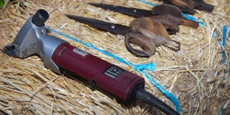 Best Goat Clippers