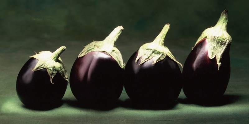 Can Chickens Eat Eggplant