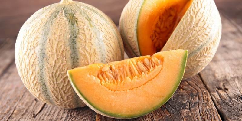 Can Rabbits Eat Cantaloupe