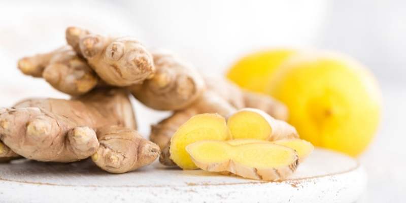 Ginger For Chickens