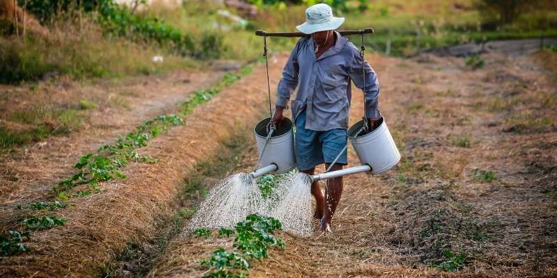 How Much Does A Farmer Make