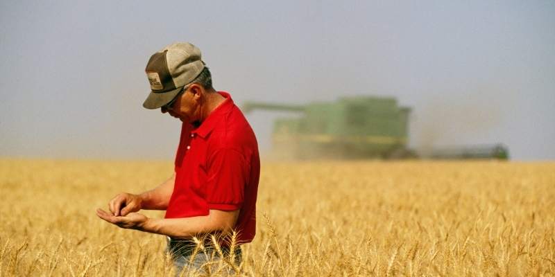 farmers