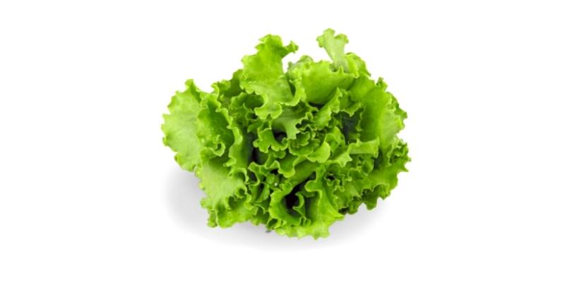 lettuce