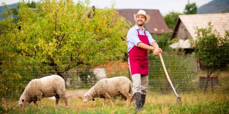 Types Of Farms