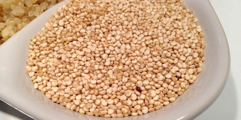 do Chickens Eat Quinoa