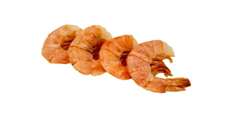 shrimp