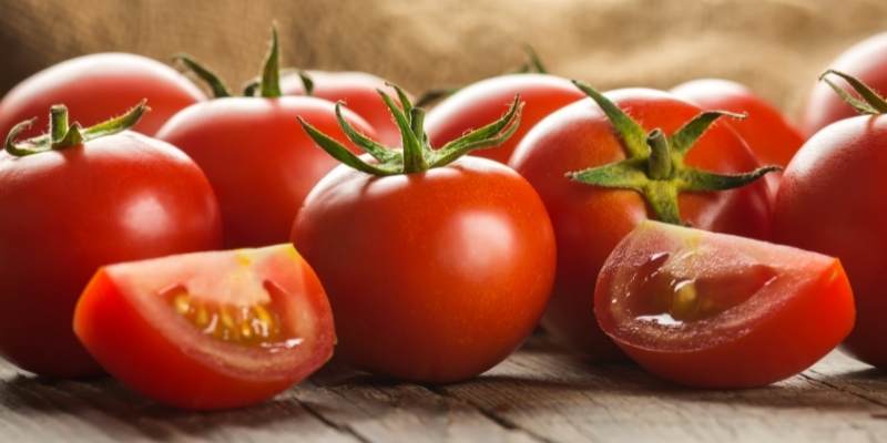 Can Cows Eat Tomatoes