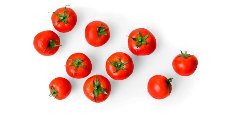 Can Cows Eat Tomatoes? Nutritional Value tomatoes-for-cow
