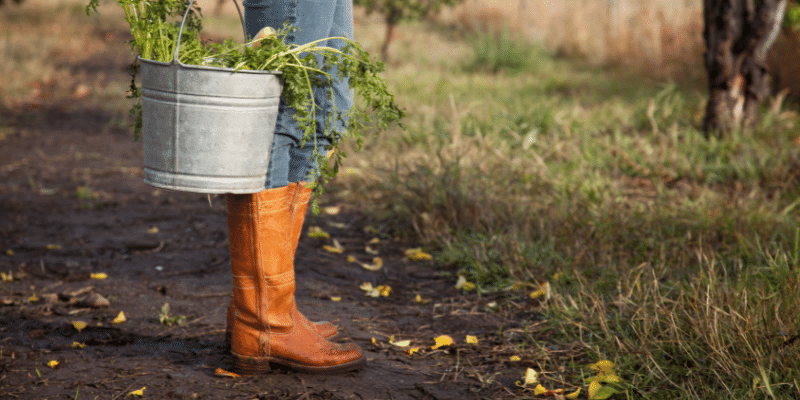 Best Farm Boots