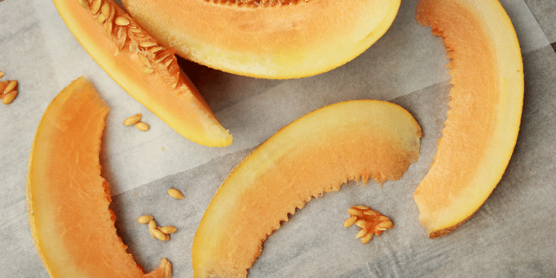 Can Ducks Eat Cantaloupe