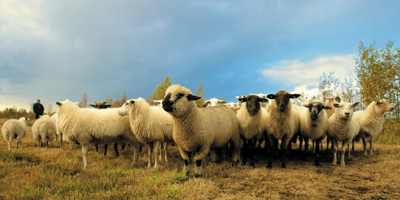 Make-Farming-100-Acres