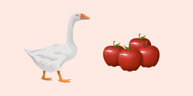 geese apples